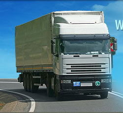 Intermediary transportation logistics company (Freight Broker)